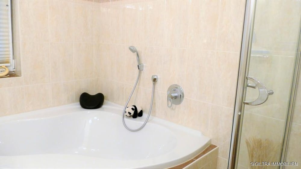 Bild Nr. 11 vom Expose