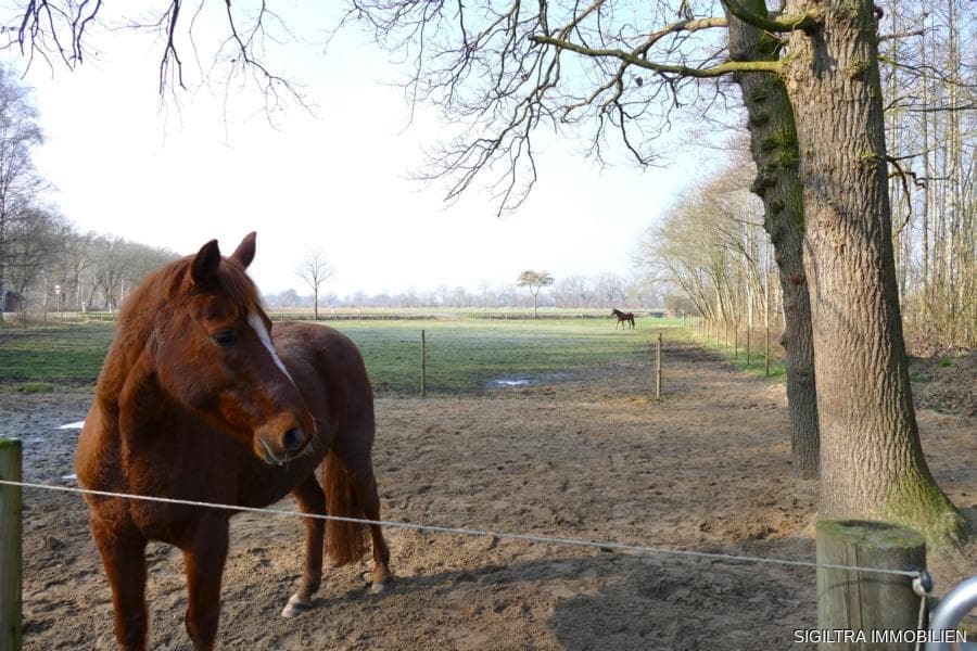 Bild Nr. 23 vom Expose