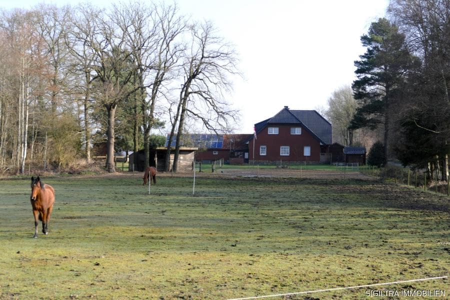 Bild Nr. 4 vom Expose